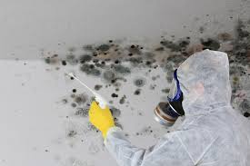 Best Emergency Mold Remediation  in De Soto, IA